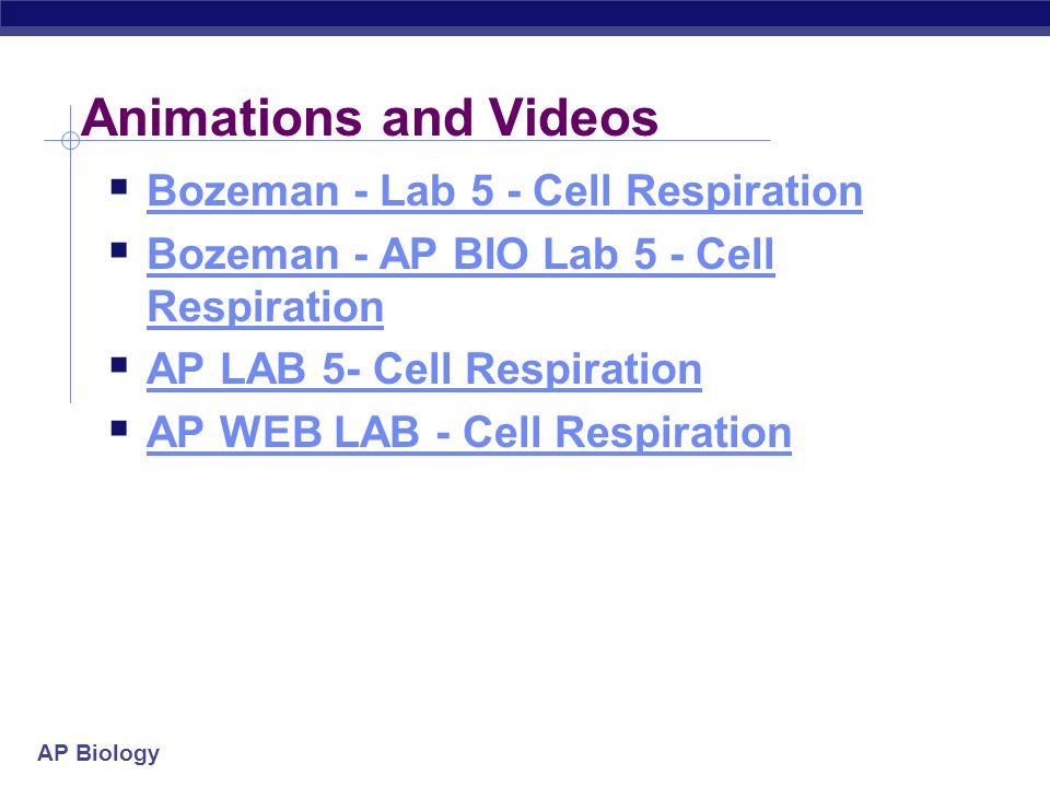Ap biology essays on cellular respiration